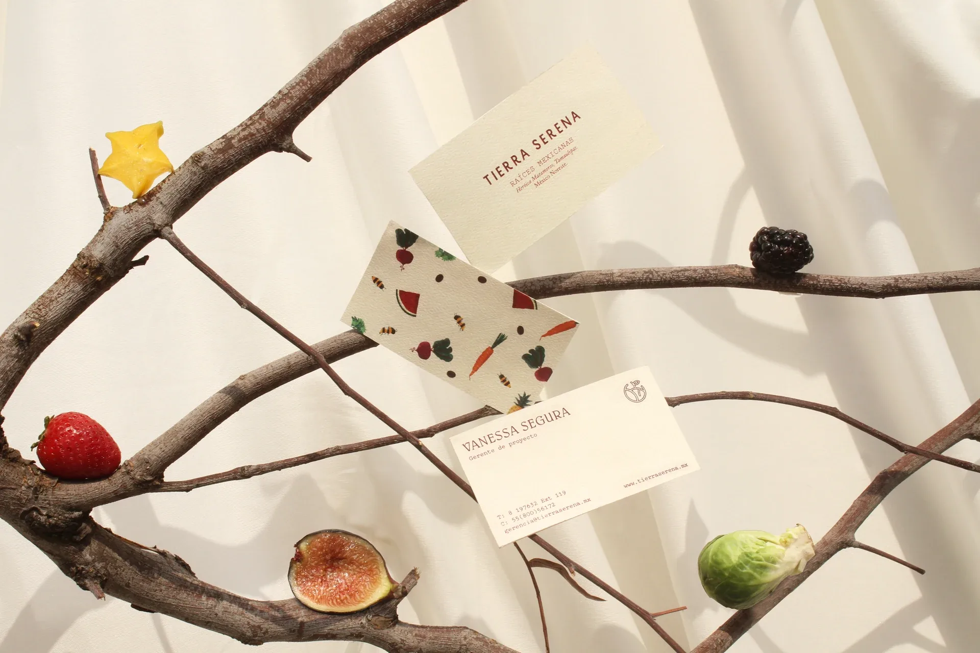 Tierra Serena business cards on a branch with fresh fruit