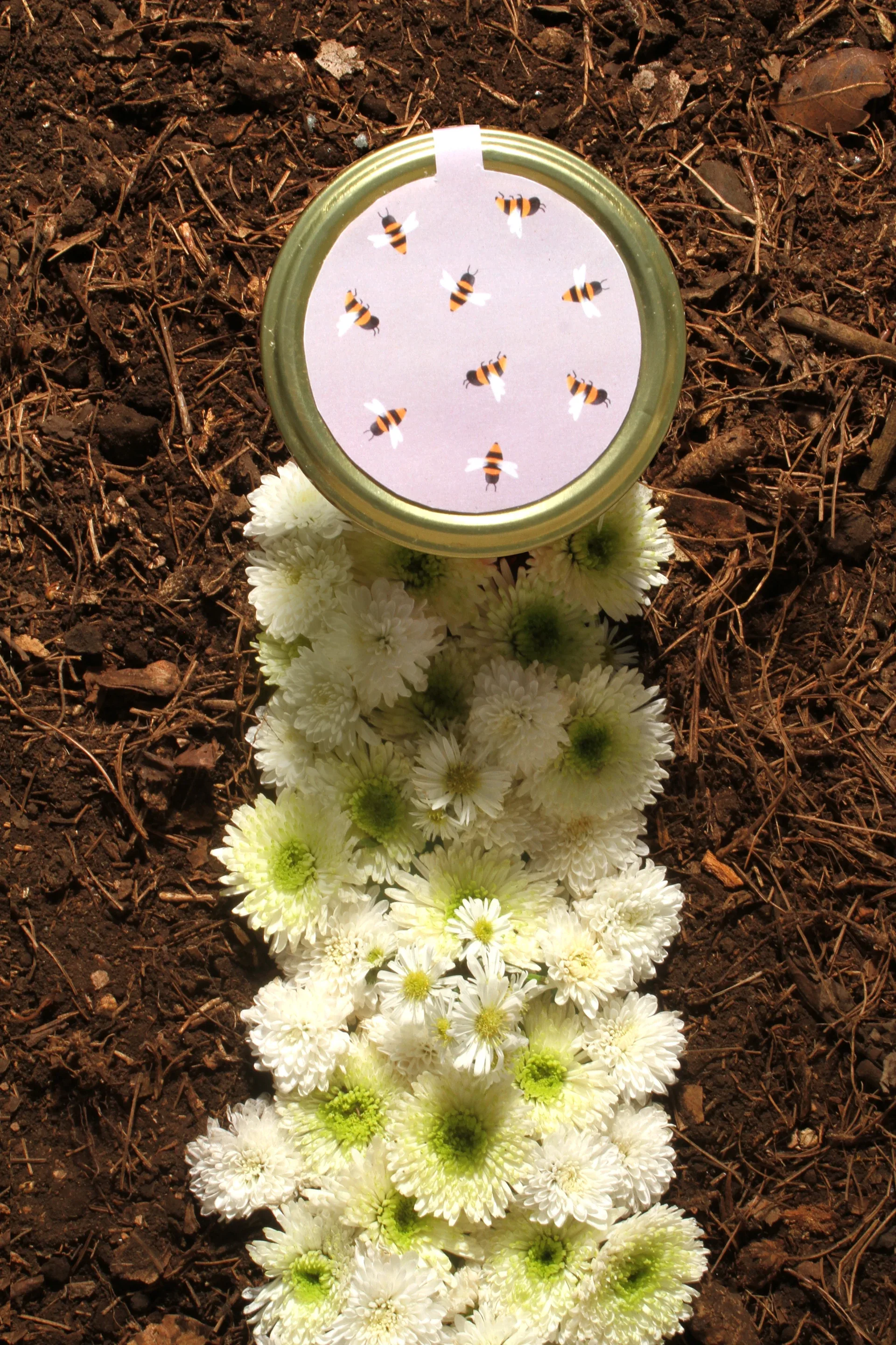 Top view of a Tierra Serena honey jar lid with bee pattern